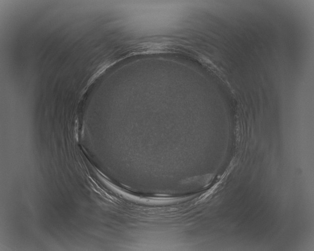 X0000054391449200507291131