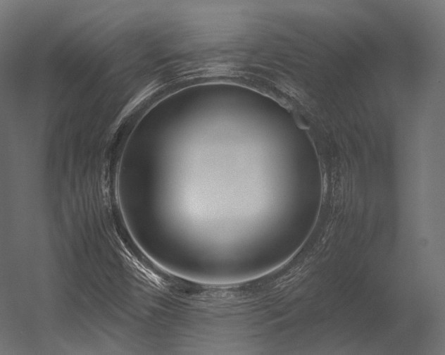 X0000054391450200507291131