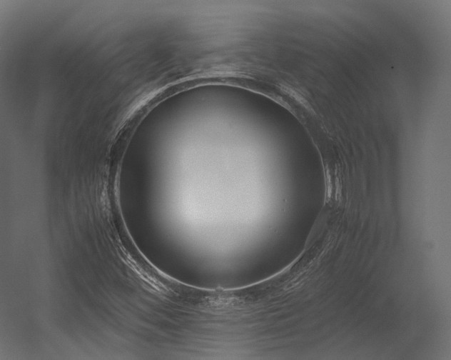 X0000054391452200507291131