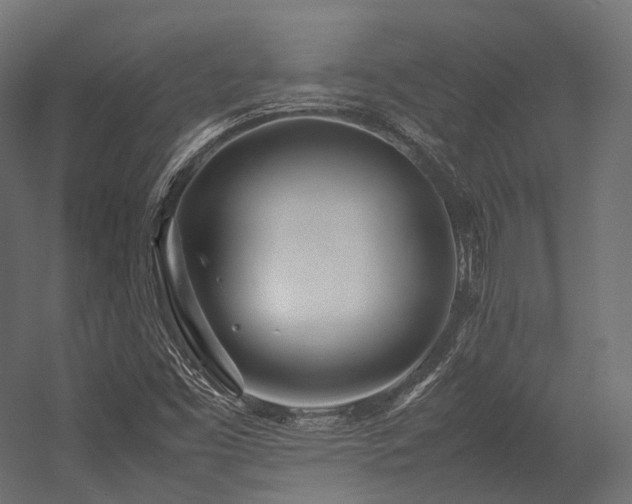 X0000054391453200507291131
