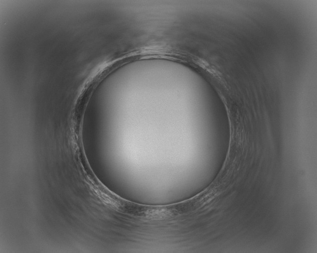 X0000054391454200507291131