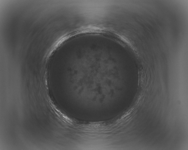 X0000054391455200507291131