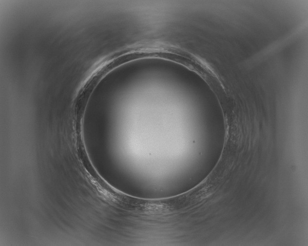 X0000054391456200507291131