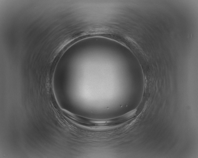 X0000054391457200507291131