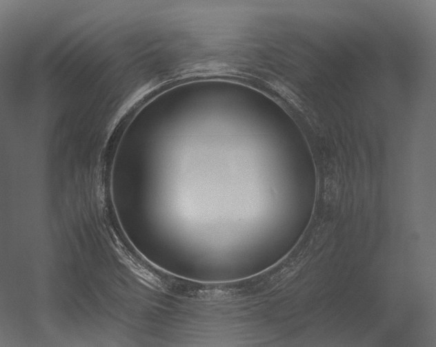 X0000054391458200507291131