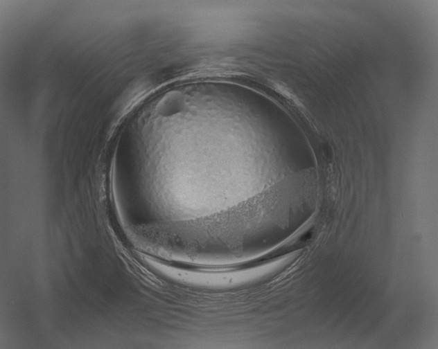 X0000054391459200507291131