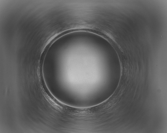 X0000054391460200507291131