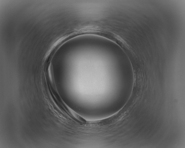 X0000054391461200507291131