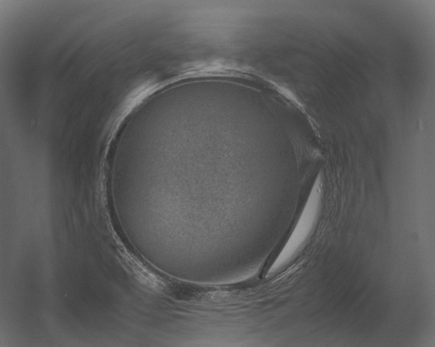 X0000054391463200507291131