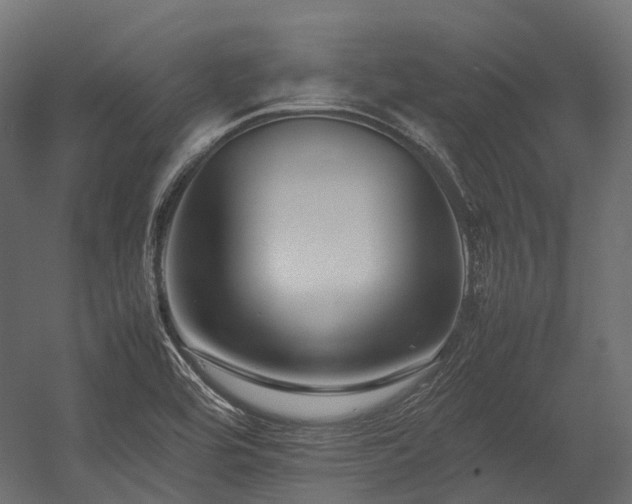 X0000054391464200507291131