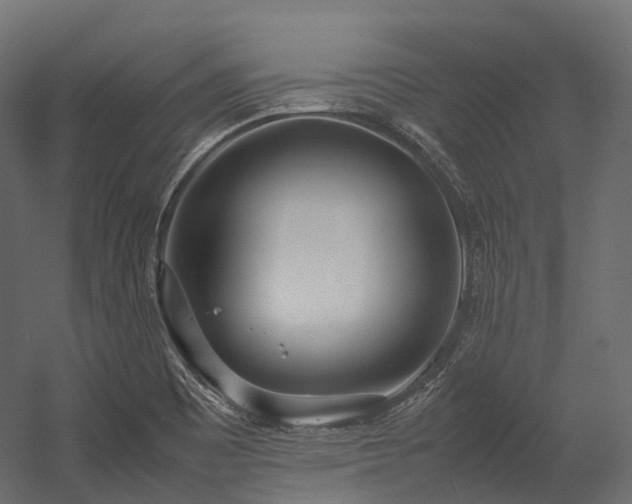 X0000054391465200507291131