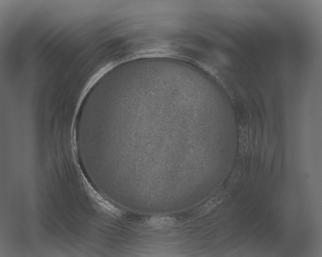 X0000054391466200507291131