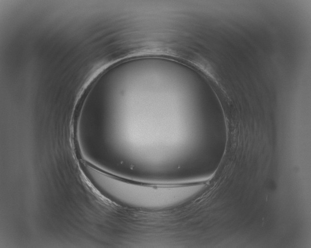 X0000054391468200507291131