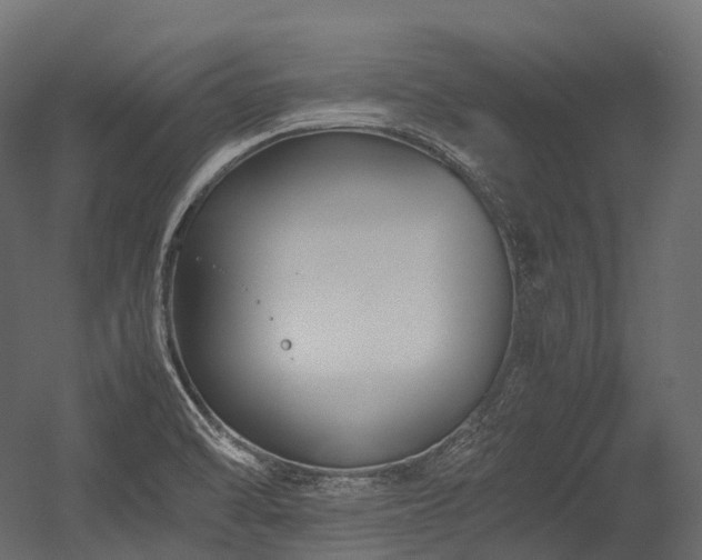 X0000054391470200507291131