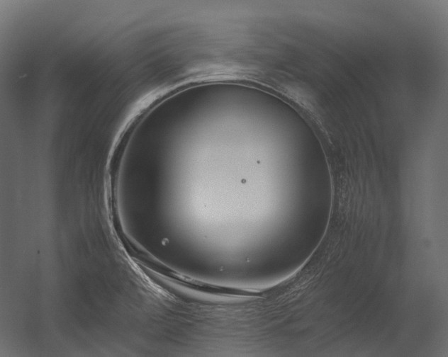 X0000054391472200507291131