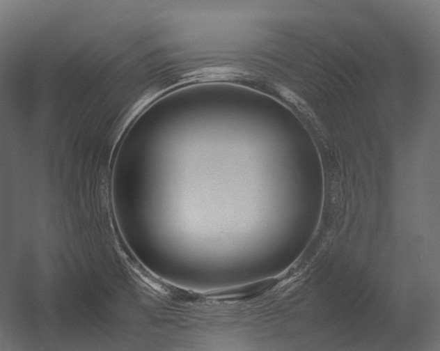 X0000054391473200507291131