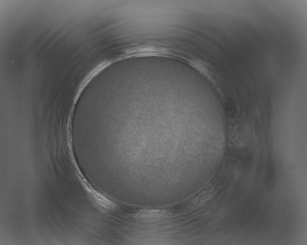 X0000054391474200507291131
