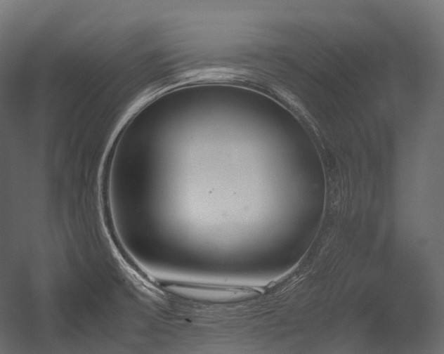 X0000054391475200507291131