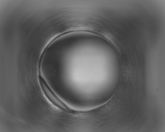 X0000054391476200507291131