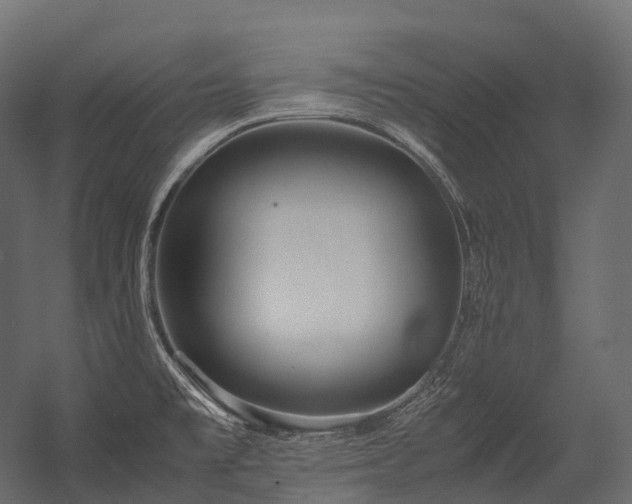 X0000054391477200507291131