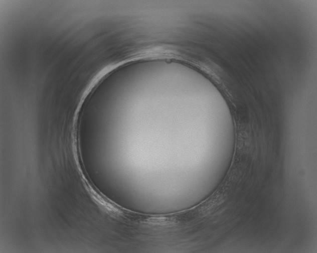 X0000054391478200507291131