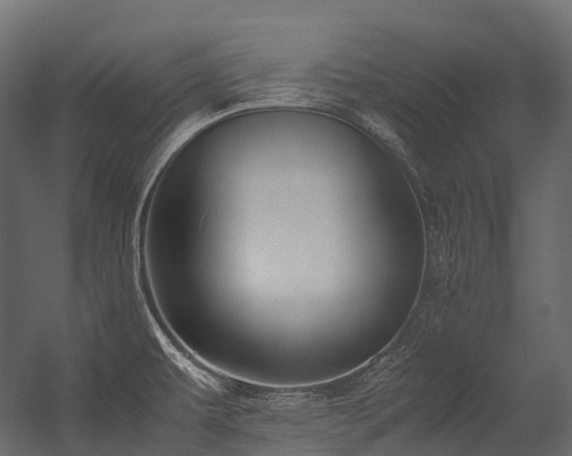 X0000054391479200507291131