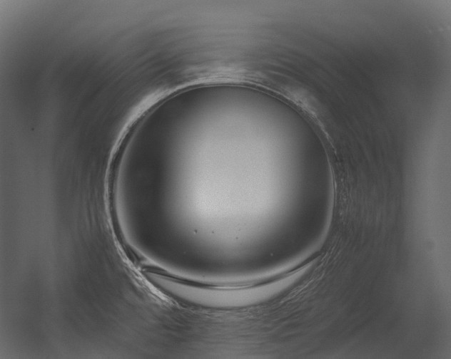 X0000054391480200507291130