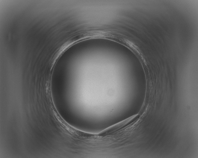X0000054391481200507291130