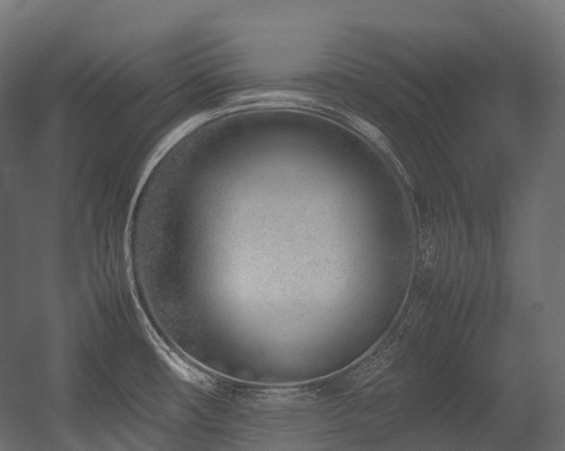 X0000054391482200507291130