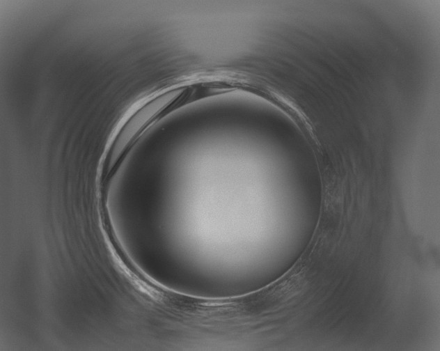 X0000054391483200507291130