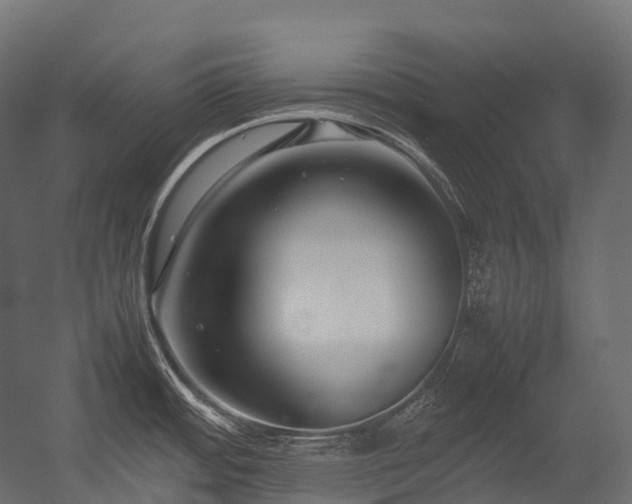 X0000054391484200507291130
