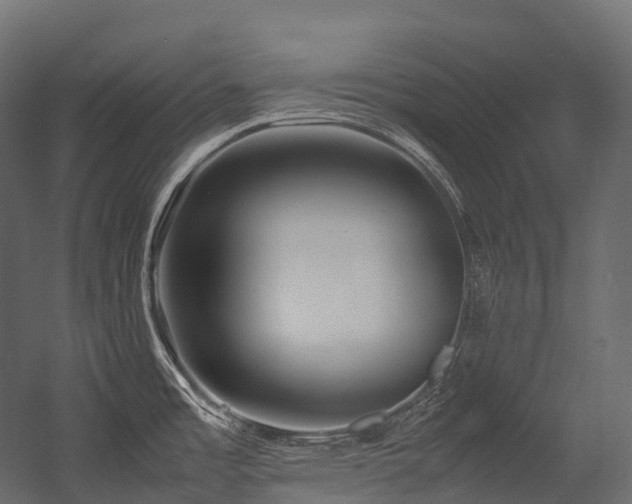 X0000054391485200507291130