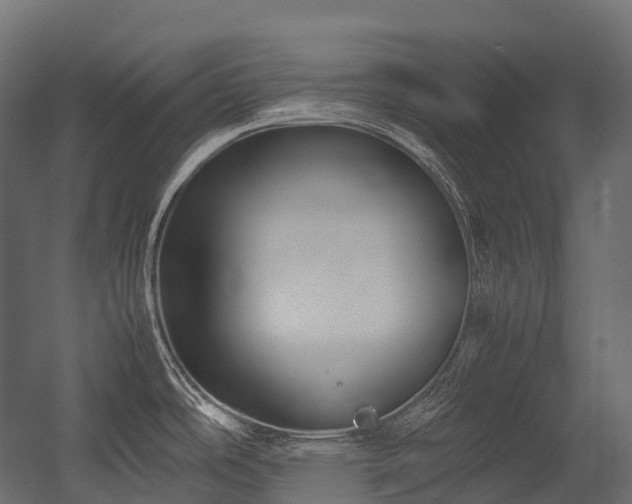 X0000054391486200507291130