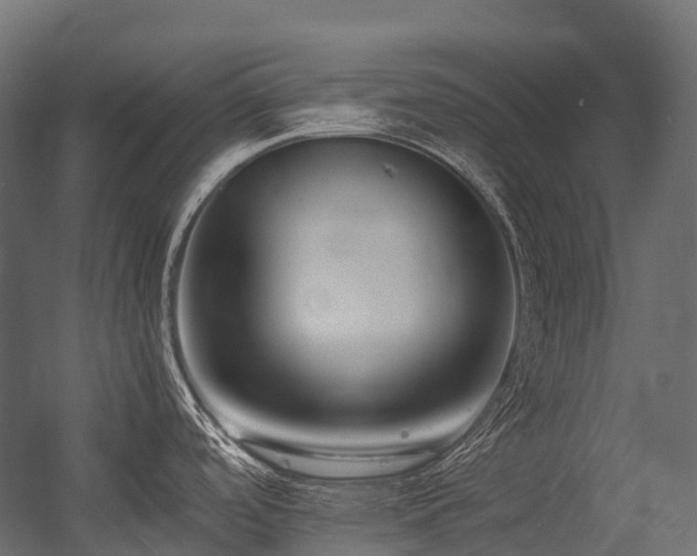 X0000054391488200507291130