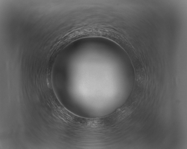 X0000054391490200507291130