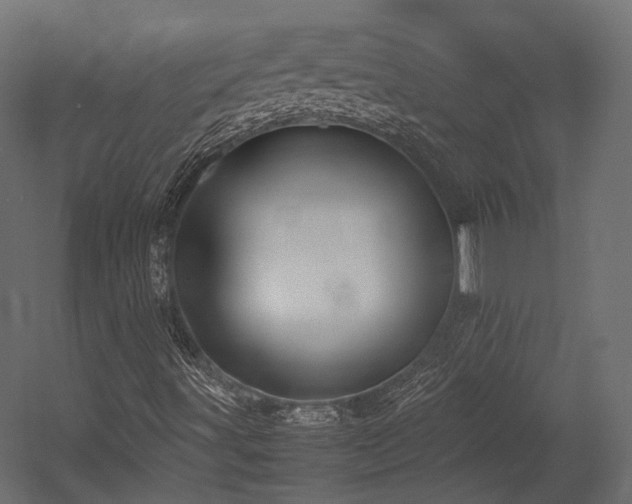 X0000054391491200507291130