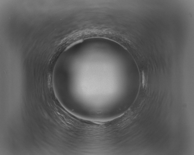 X0000054391492200507291130