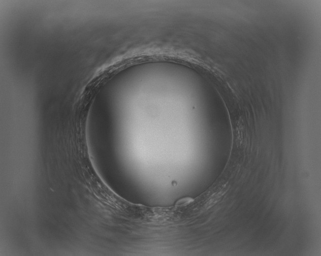 X0000054391494200507291130