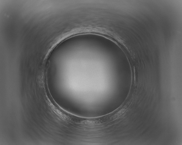X0000054391500200507291130