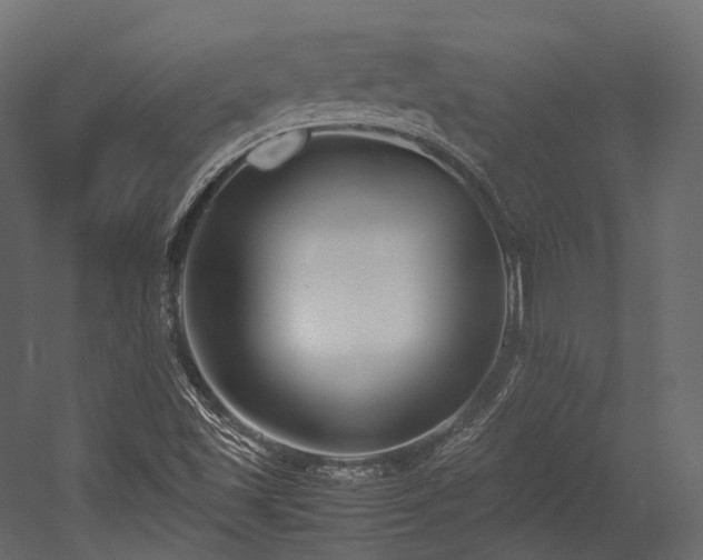 X0000054391501200507291130