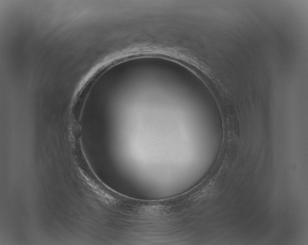 X0000054391502200507291130