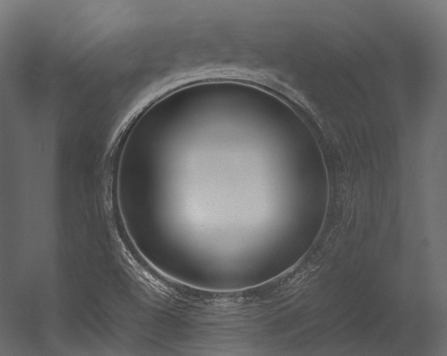 X0000054391504200507291130