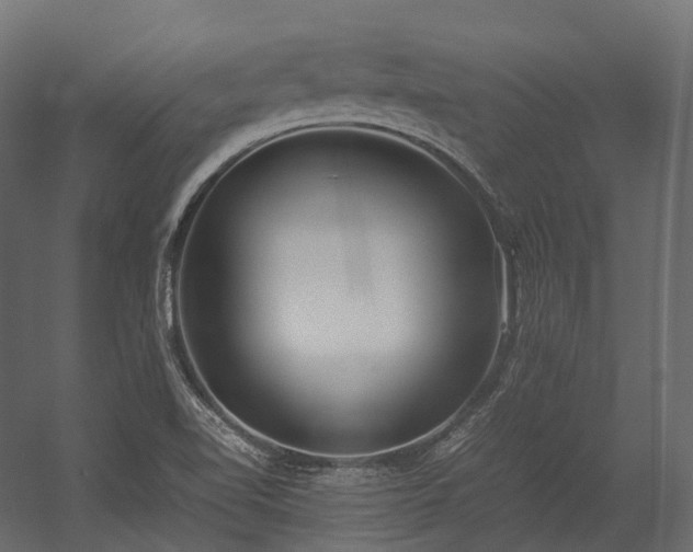 X0000054391510200507291130