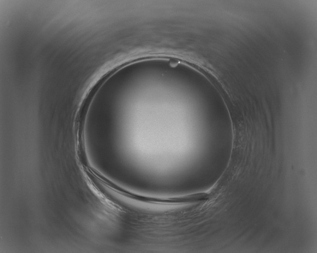X0000054391511200507291130