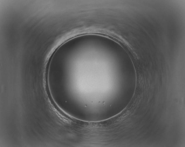 X0000054391512200507291130