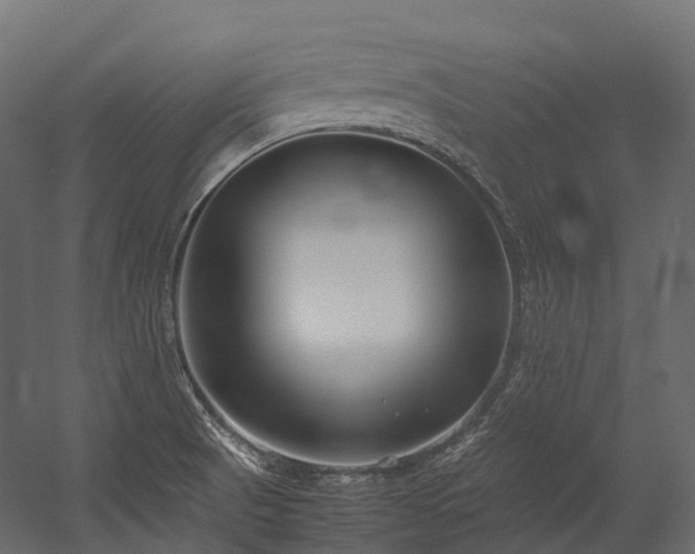 X0000054391521200507291130