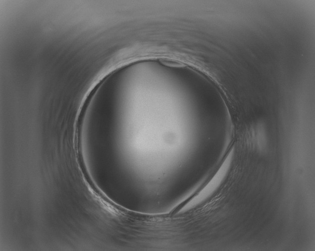 X0000054391527200507291130