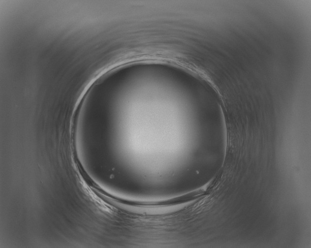X0000054391532200507291130