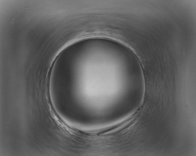 X0000054391534200507291130