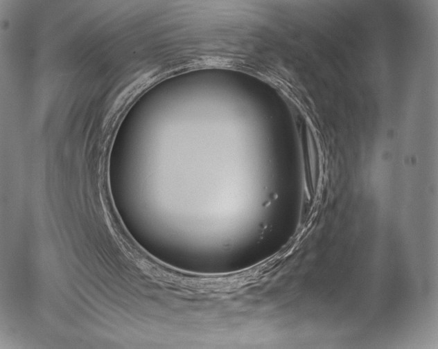 X0000054390001200508011305